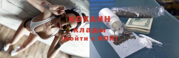 спиды Ладушкин