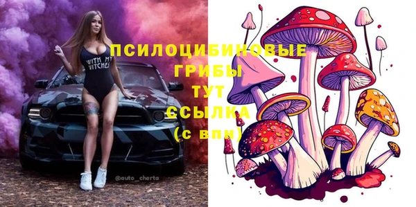 гашиш Лабытнанги