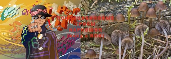 спиды Ладушкин