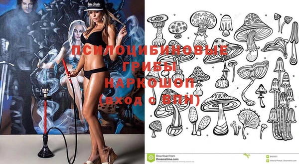 спиды Ладушкин