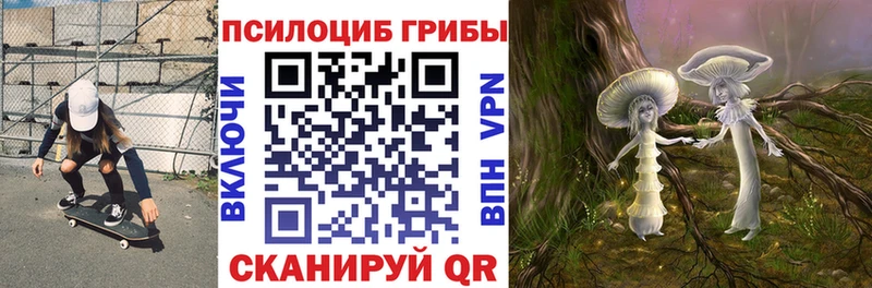 сколько стоит Миасс Галлюциногенные грибы Psilocybe