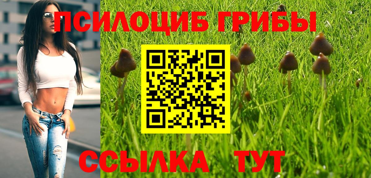 дарнет шоп  Псилоцибиновые грибы прущие грибы  Миасс  Вход с VPN  Псилоцибиновые грибы GOLDEN TEACHER 