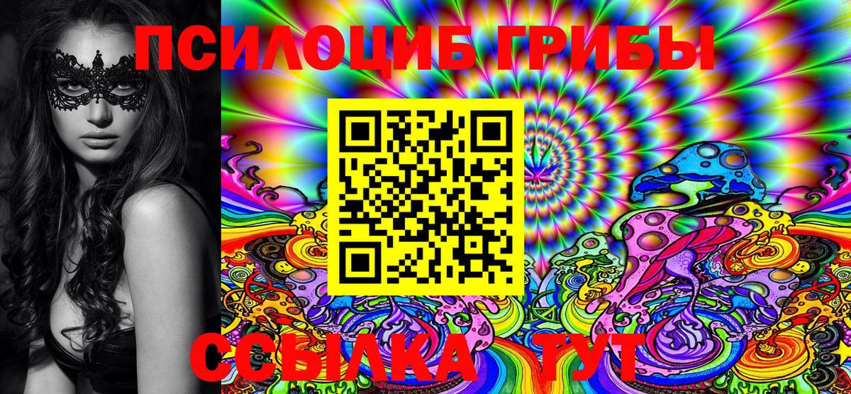 Псилоцибиновые грибы Psilocybe Миасс